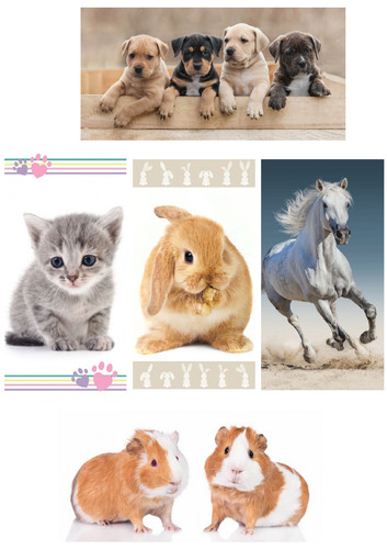 Handtuch pferd hund - handtuch, katze